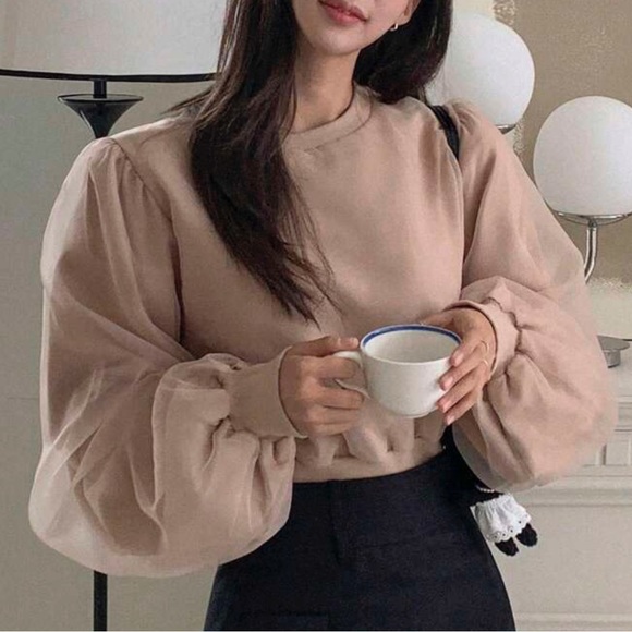 Light beige Mesh Panel Lantern puff Sleeve sweater Shirt blouse - Picture 4 of 7